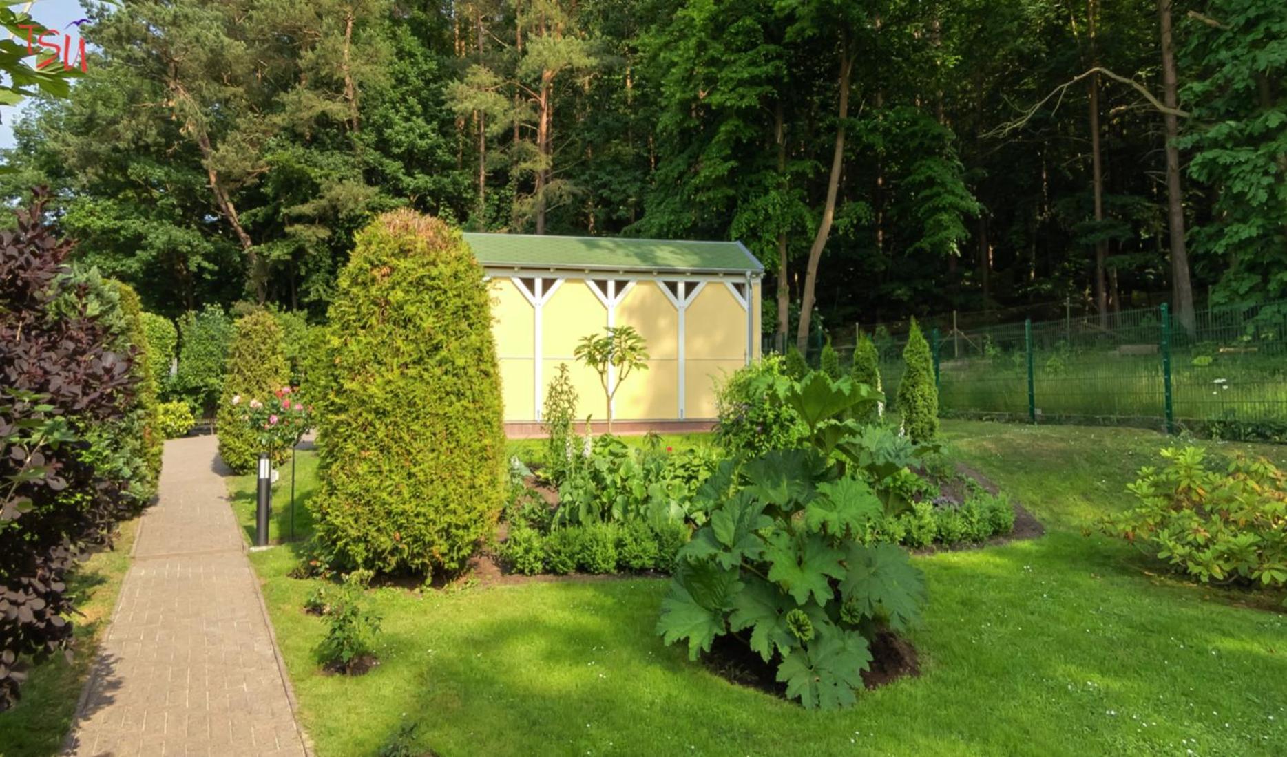 Apartamento Haus Am Wald Heringsdorf  Exterior foto