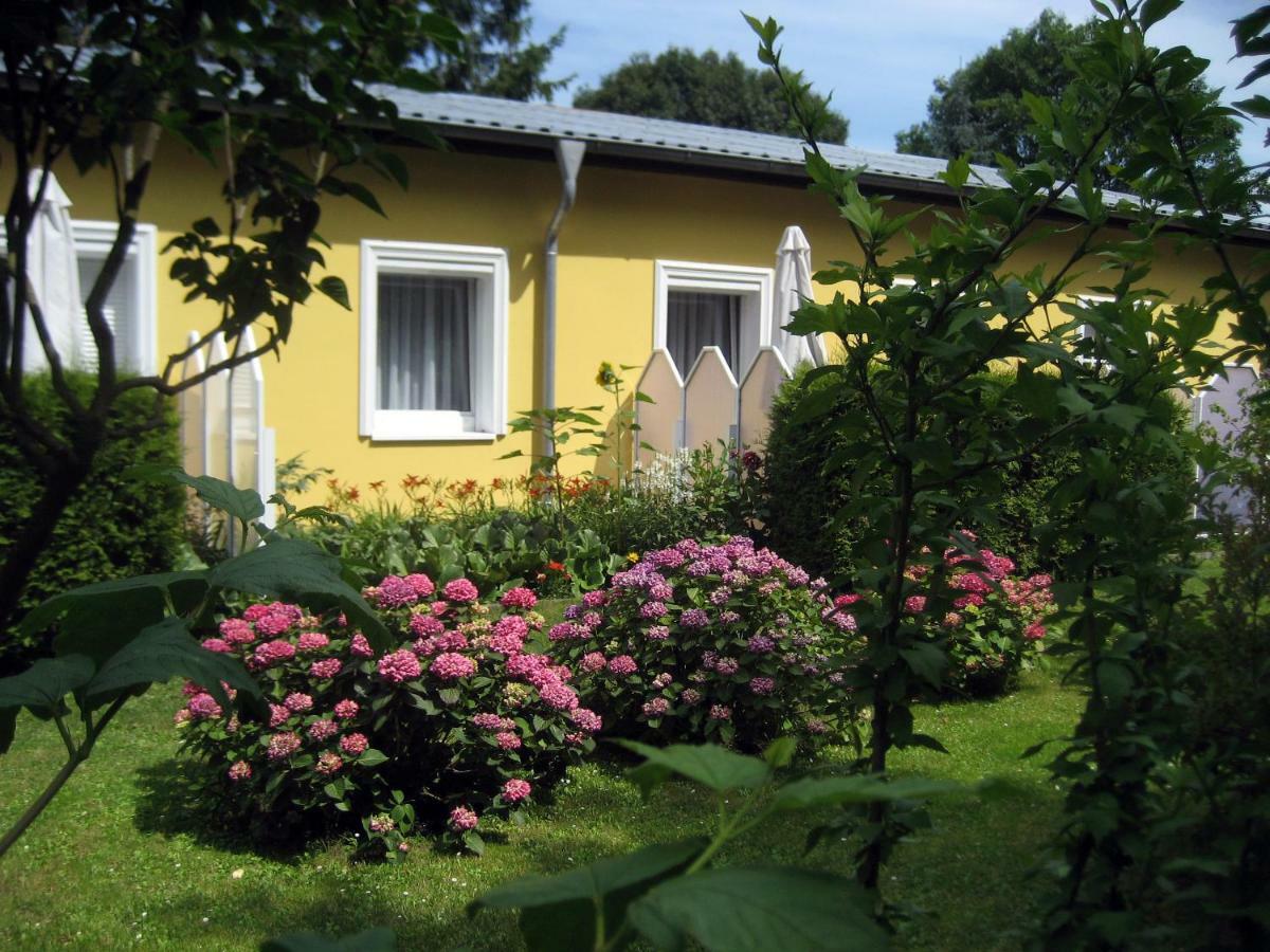 Apartamento Haus Am Wald Heringsdorf  Exterior foto